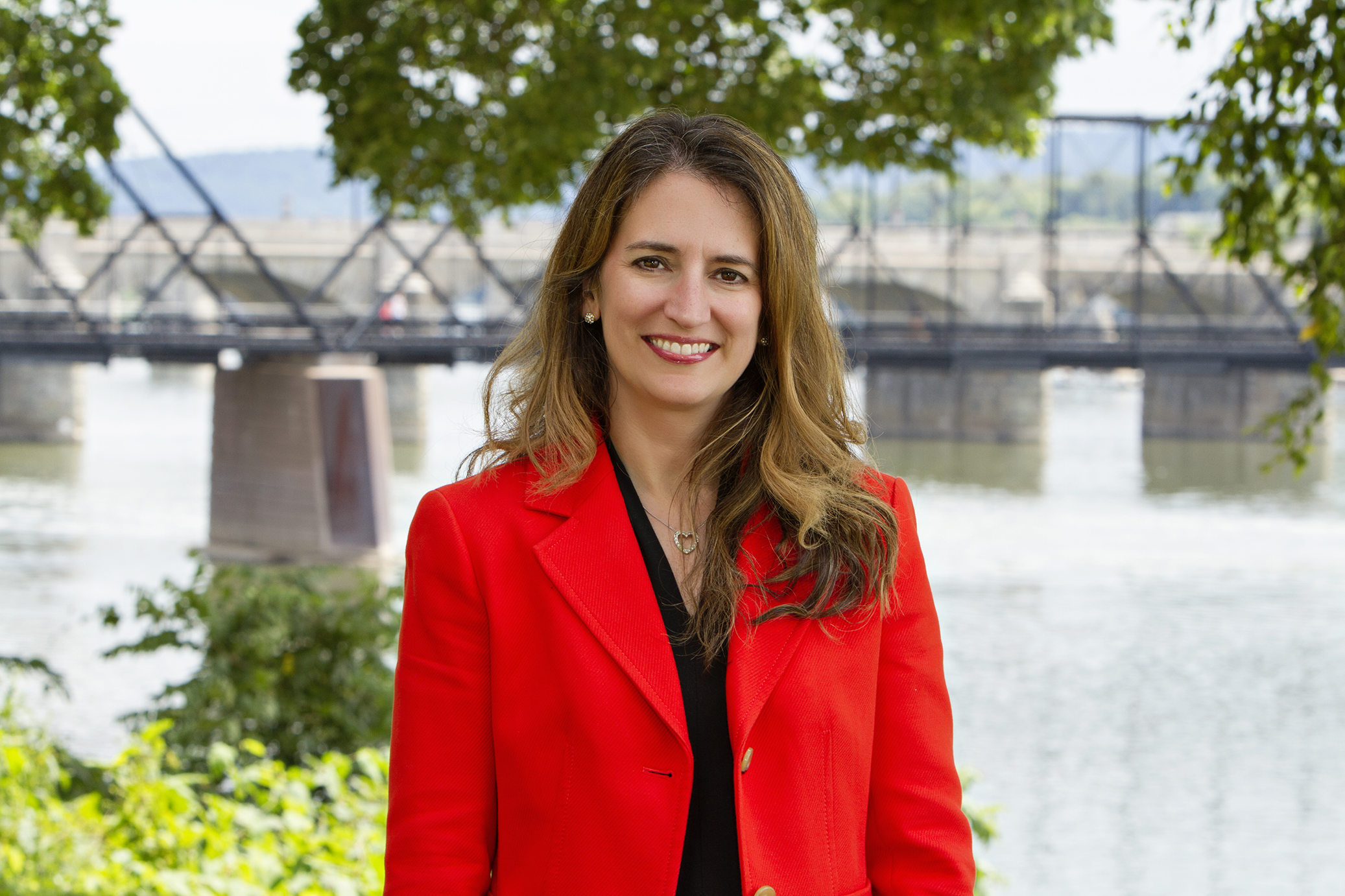 Ann V. Levin